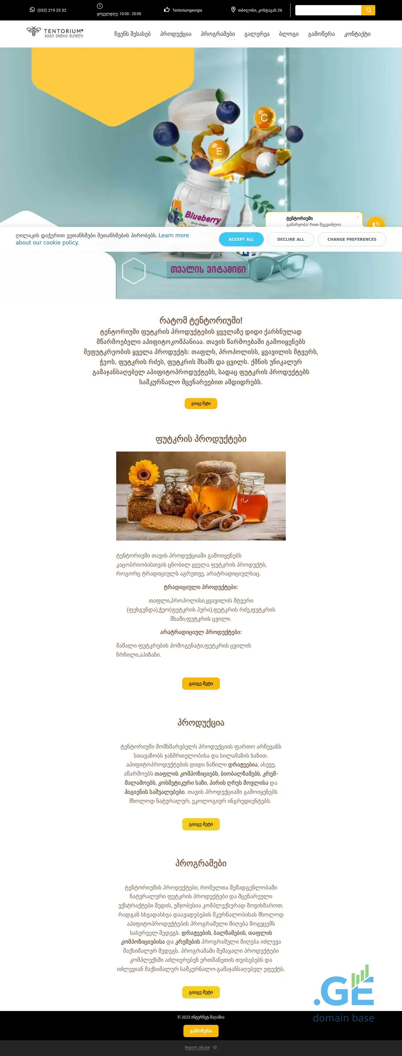 Screenshot of the site tentorium.ge