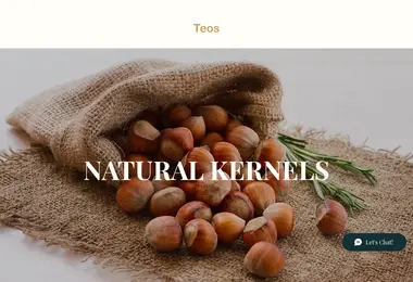 Screenshot of teos.ge