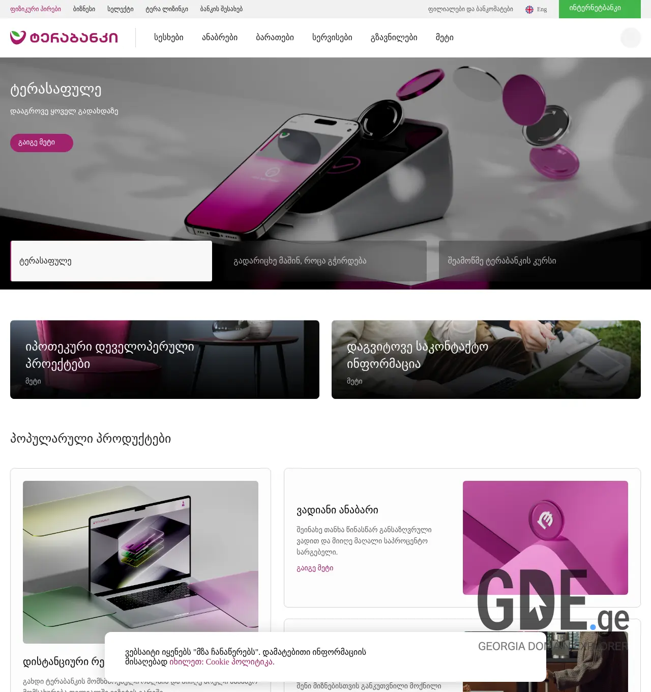 Screenshot of the site terabank.ge at 2025-11-29