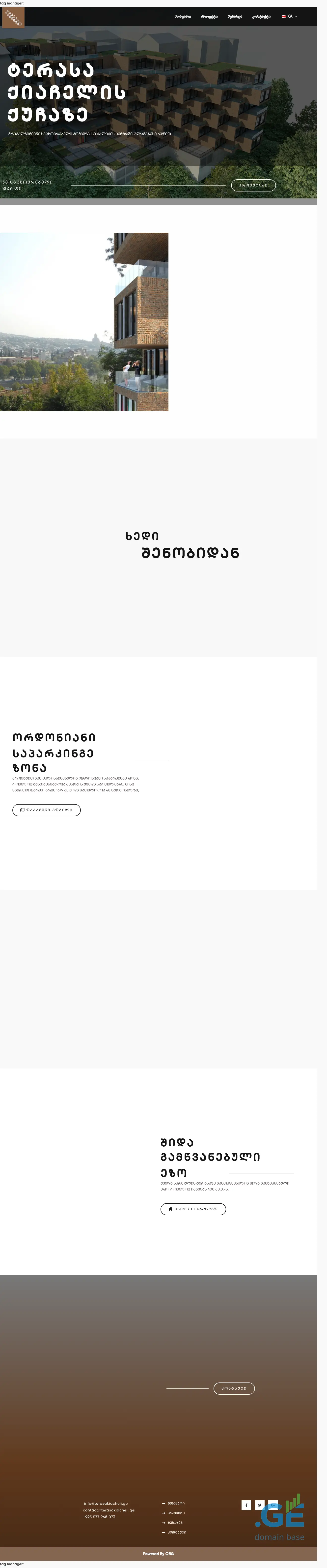 Screenshot of the site terasakiacheli.ge