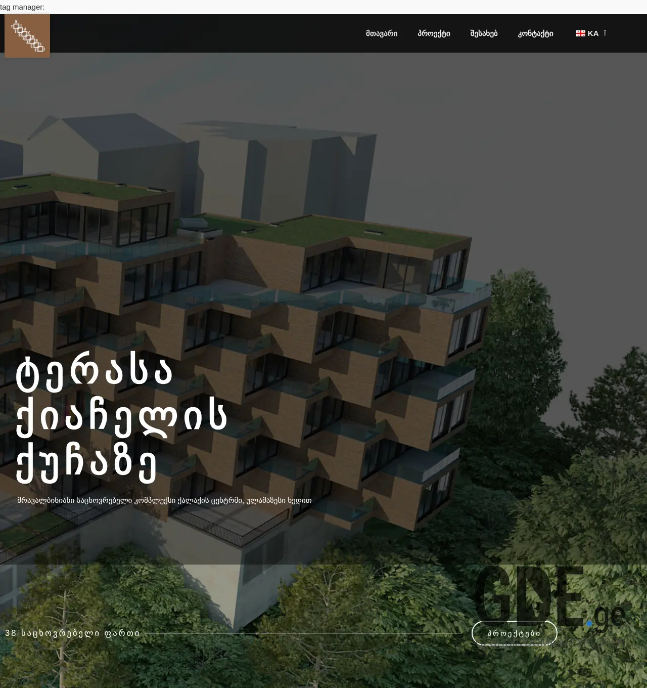 Screenshot of the site terasakiacheli.ge at 2025-12-03