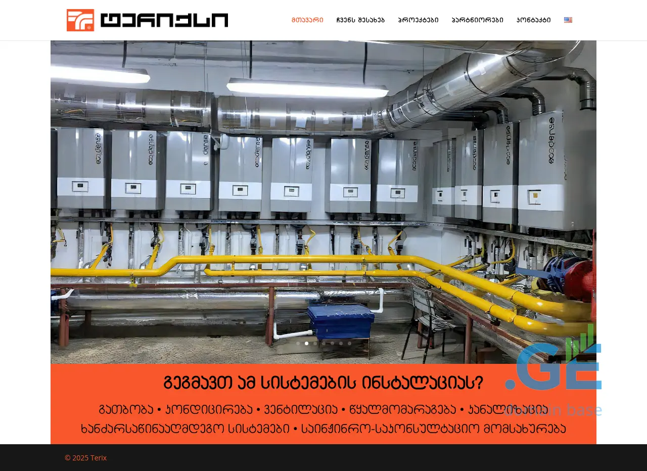 Screenshot of the site terix.ge