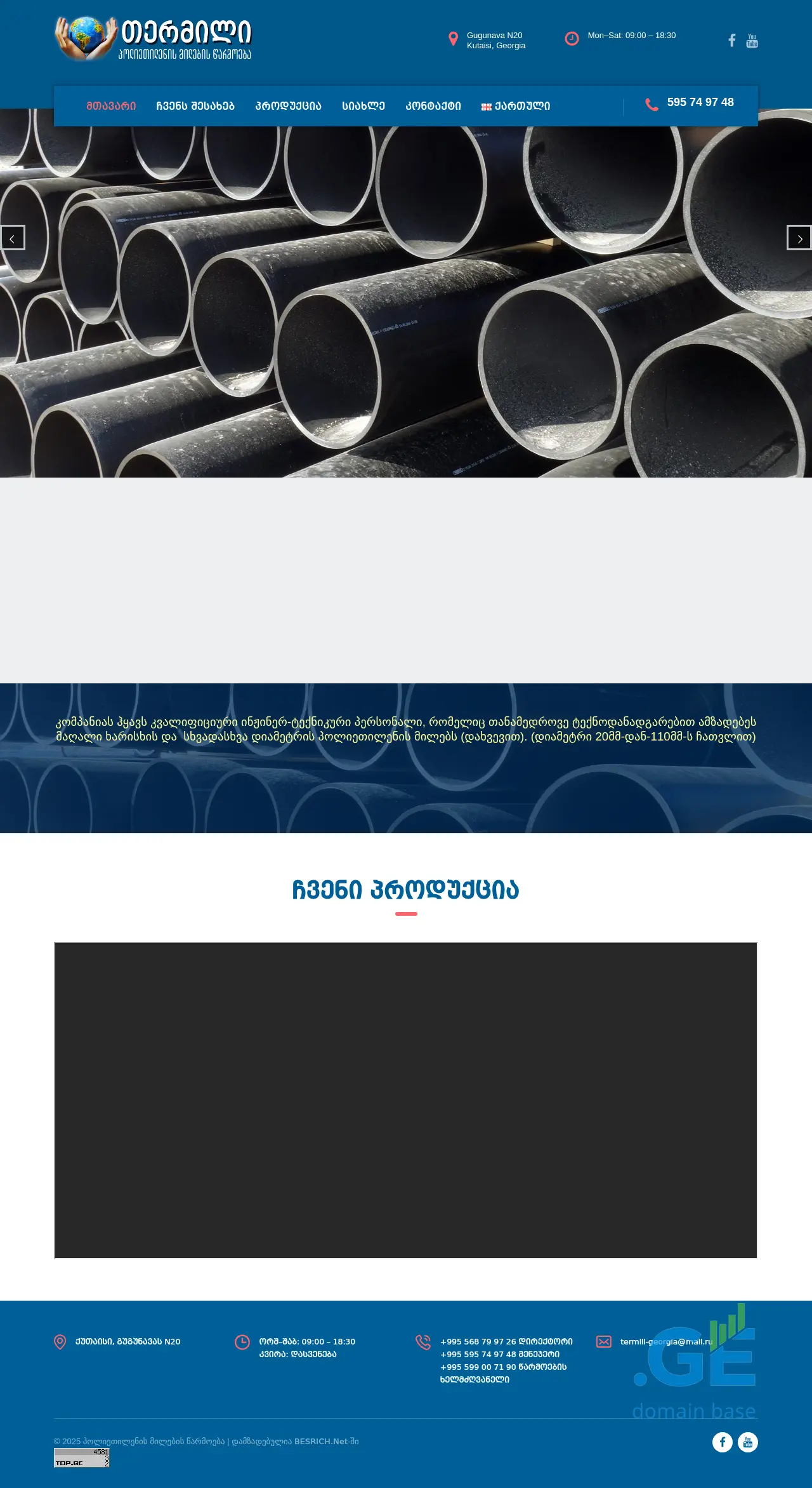 Screenshot of the site termili.ge