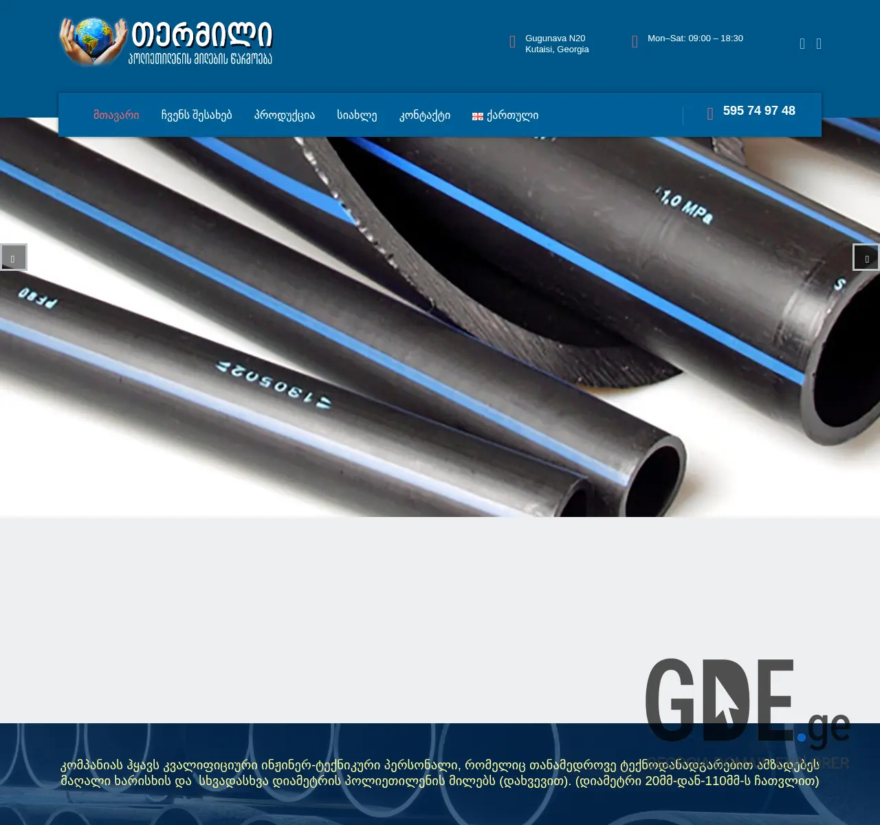 Screenshot of the site termili.ge at 2025-11-26