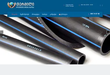 Скриншот termili.ge