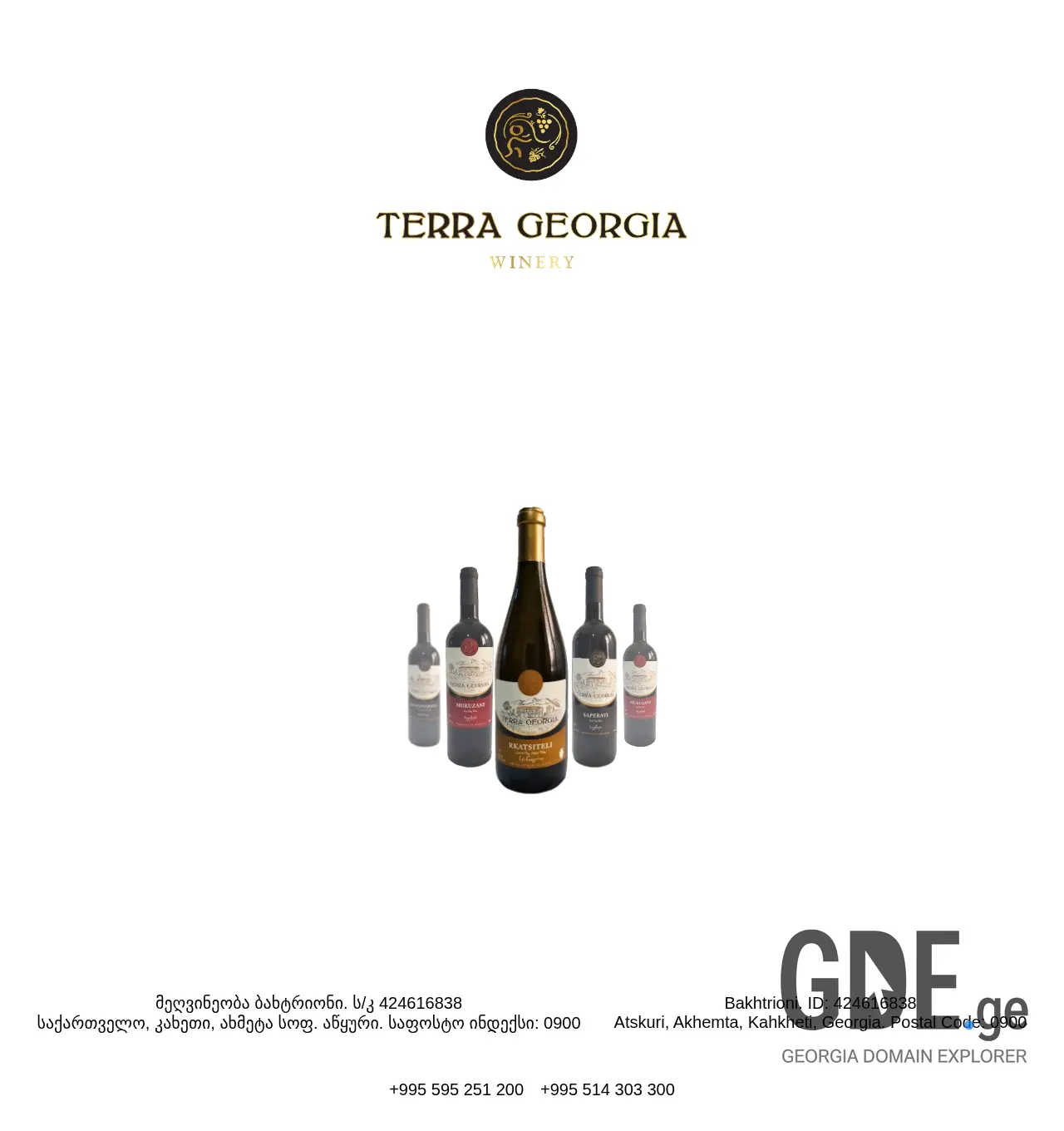 Screenshot of the site terrageorgia.ge at 2025-12-06