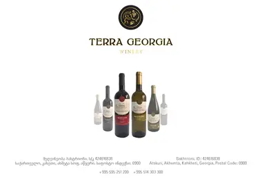 terrageorgia.ge-ის ეკრანის სურათი