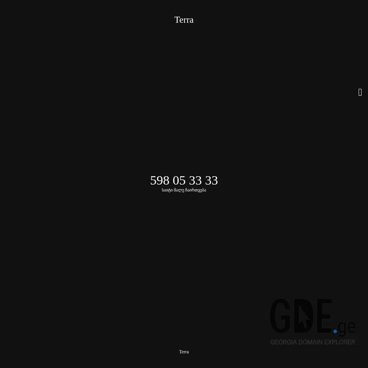 Screenshot of the site terragroup.ge at 2025-12-15