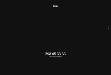 Screenshot of terragroup.ge