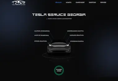 tesla-service.ge-ის ეკრანის სურათი