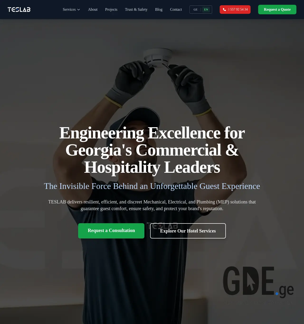 Screenshot of the site teslab.ge at 2025-12-03