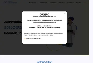 Screenshot of tetnuldi.edu.ge