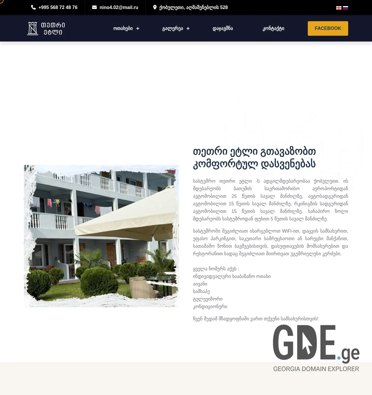 Screenshot of the site tetri-etli.com.ge at 2025-11-29