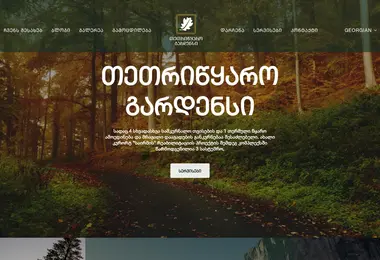 Screenshot of tetritskaro.ge