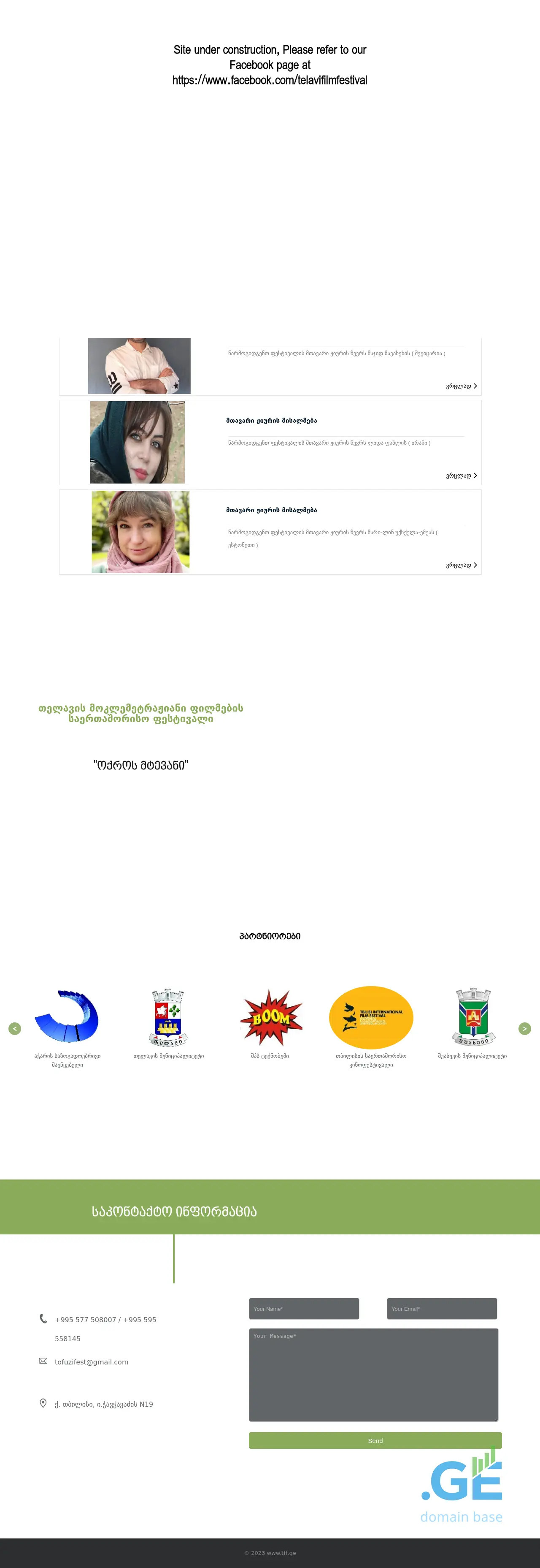 Screenshot of the site tff.ge