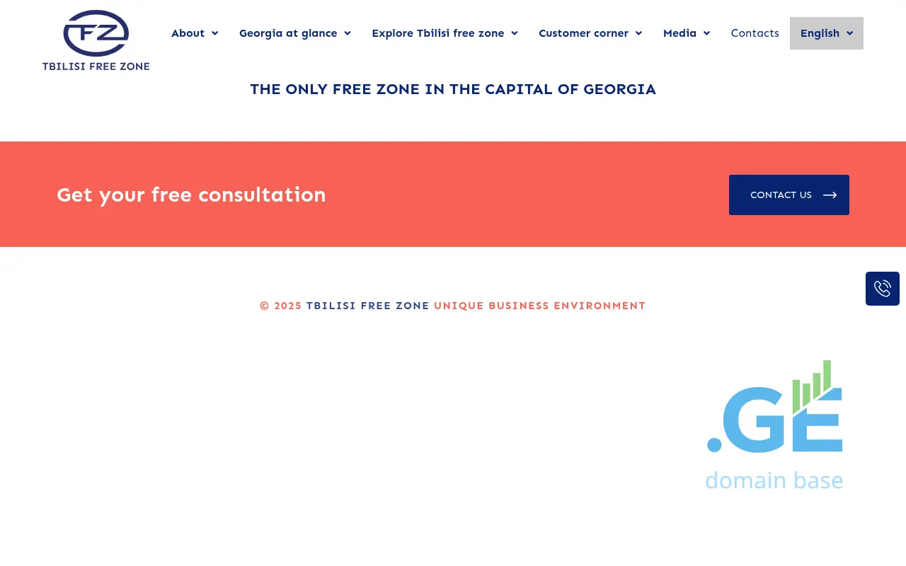 Screenshot of the site tfz.ge