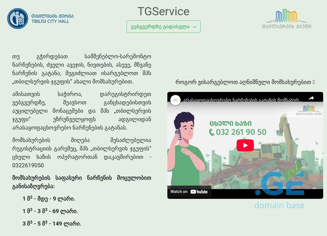 Screenshot of the site tgservice.ge