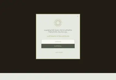 thesocialspace.ge-ის ეკრანის სურათი
