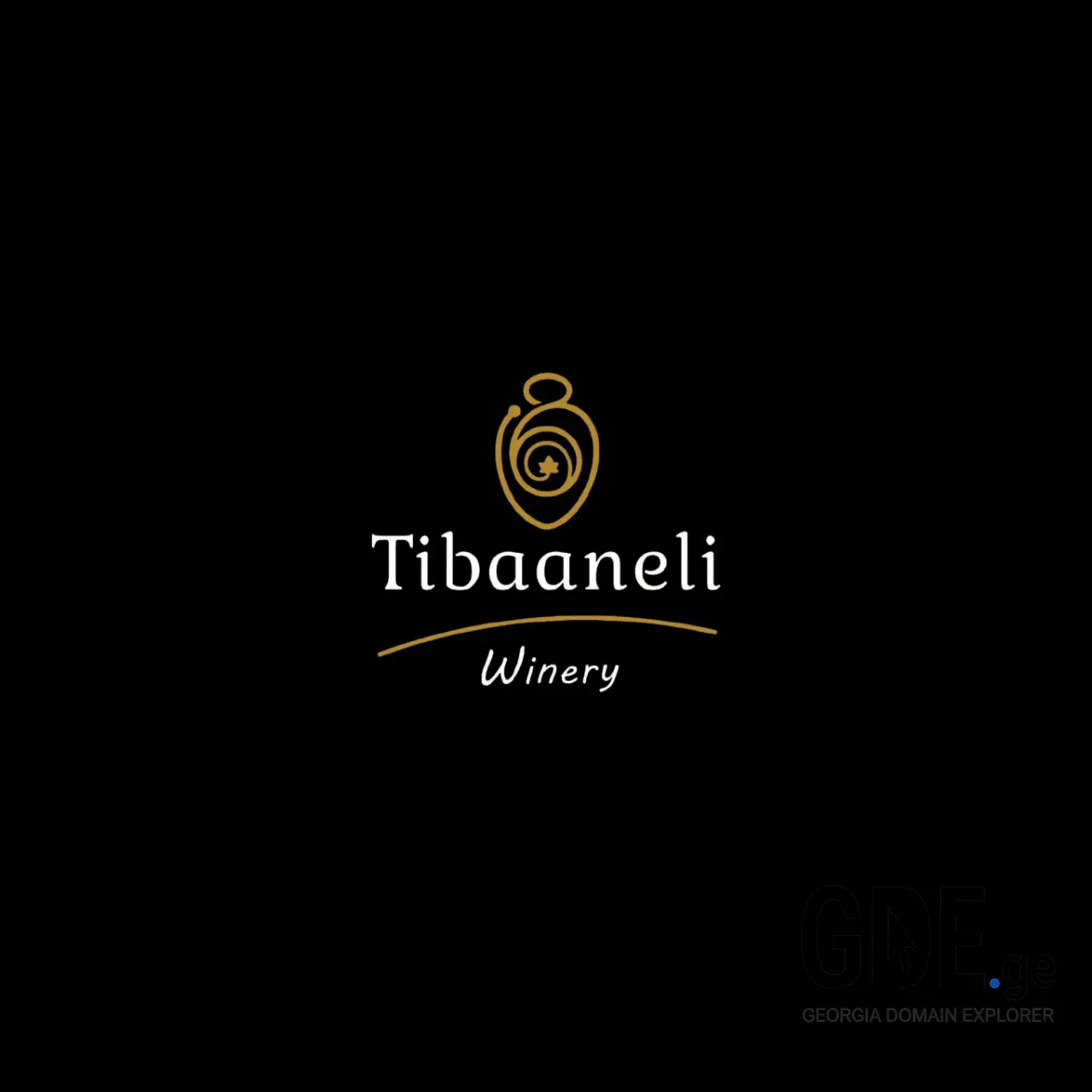 Screenshot of the site tibaaneli.ge at 2025-12-12
