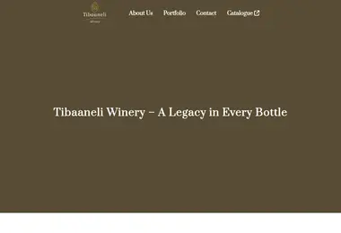 Screenshot of tibaaneli.ge