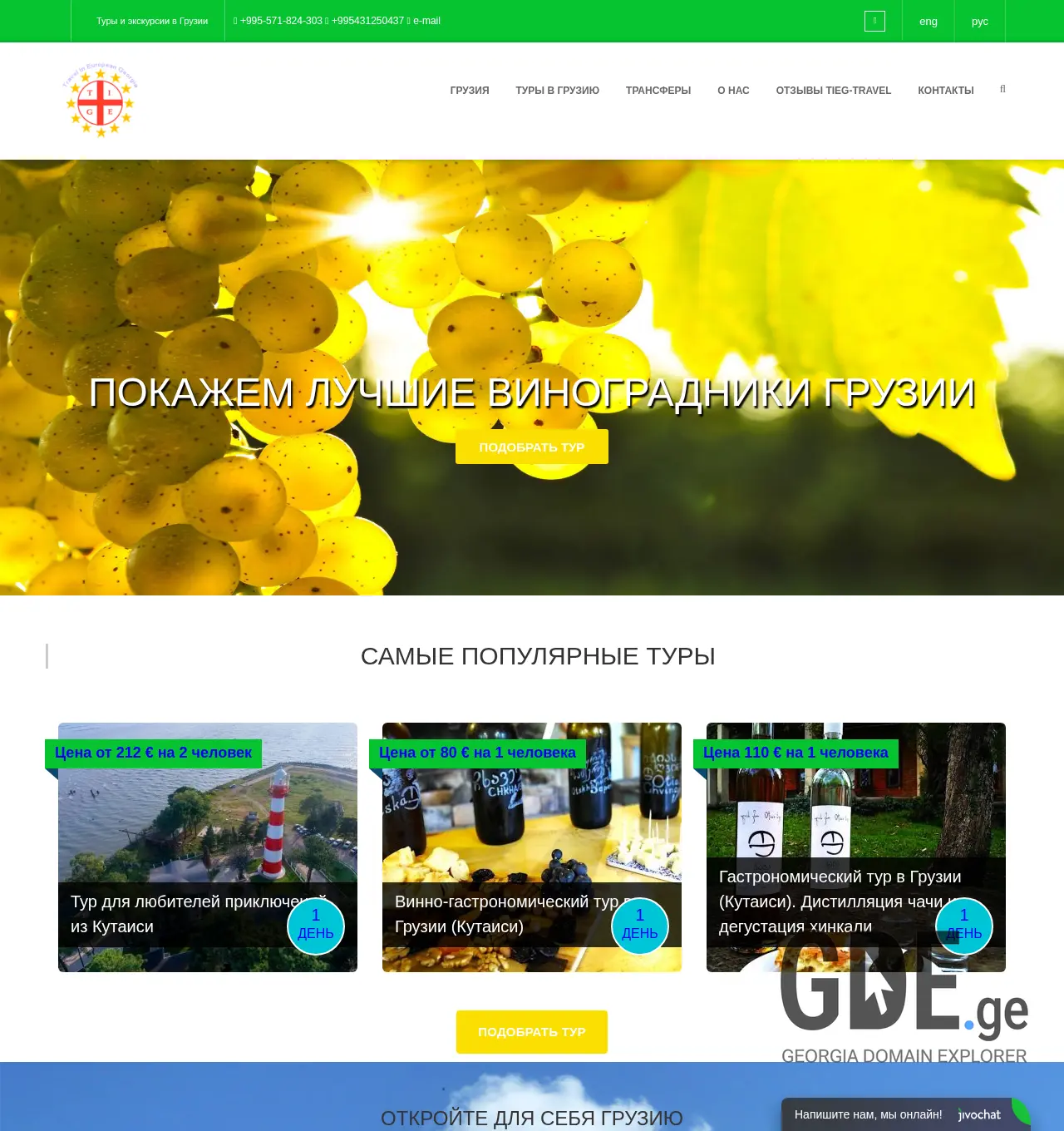 Screenshot of the site tieg-travel.ge at 2025-12-01