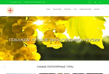 Скриншот tieg-travel.ge