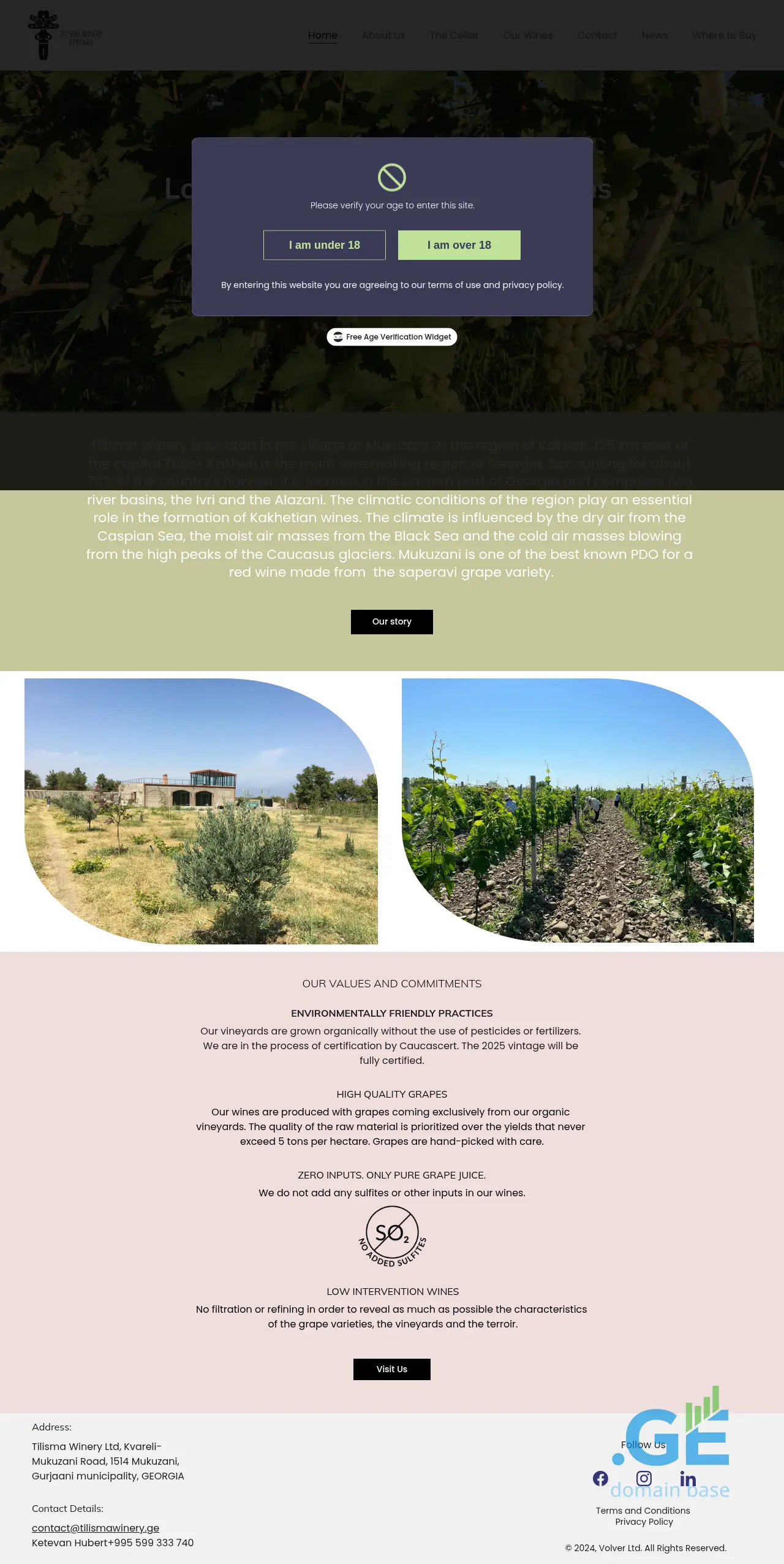 Screenshot of the site tilismawinery.ge at 2025-10-13