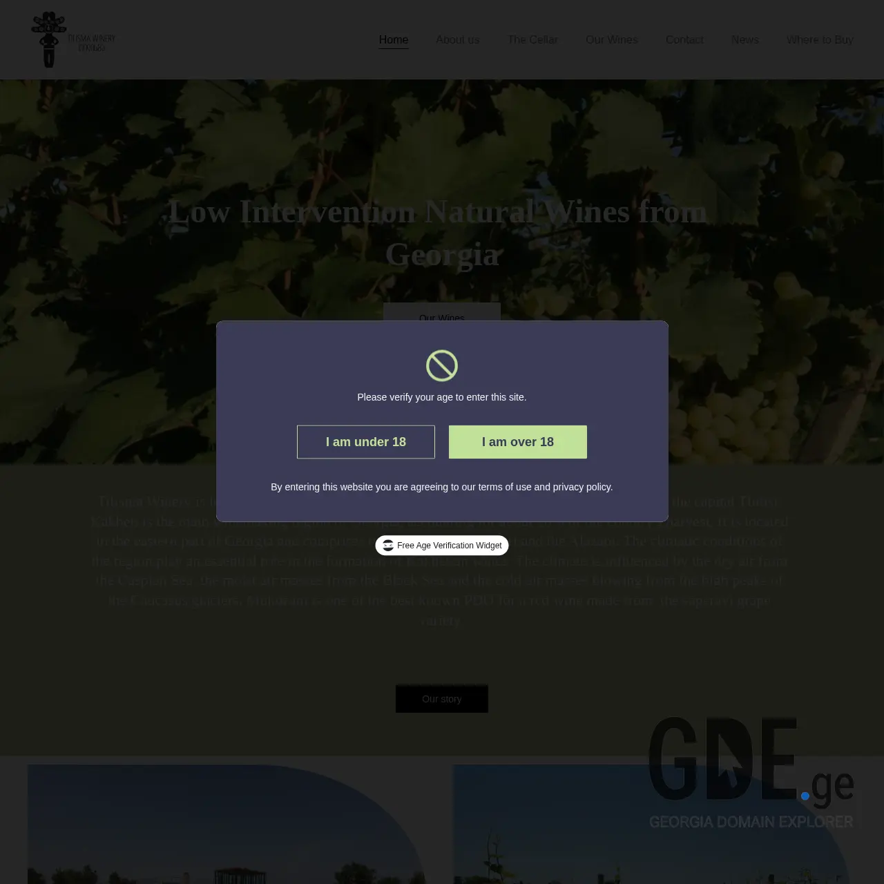 Screenshot of the site tilismawinery.ge at 2025-12-13