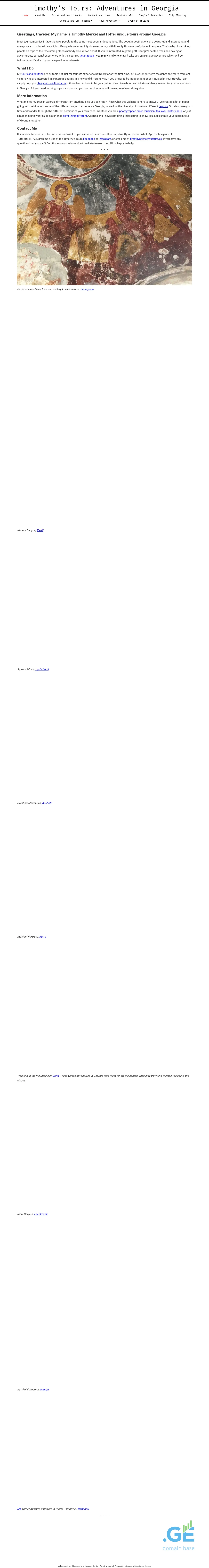 Screenshot of the site timothystours.ge