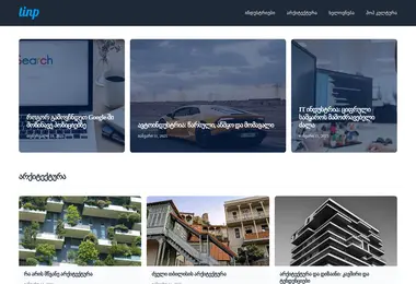 Screenshot of tinp.ge