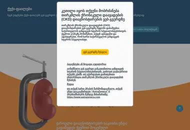 Screenshot of tirkmlisqronikulidaavadeba.ge