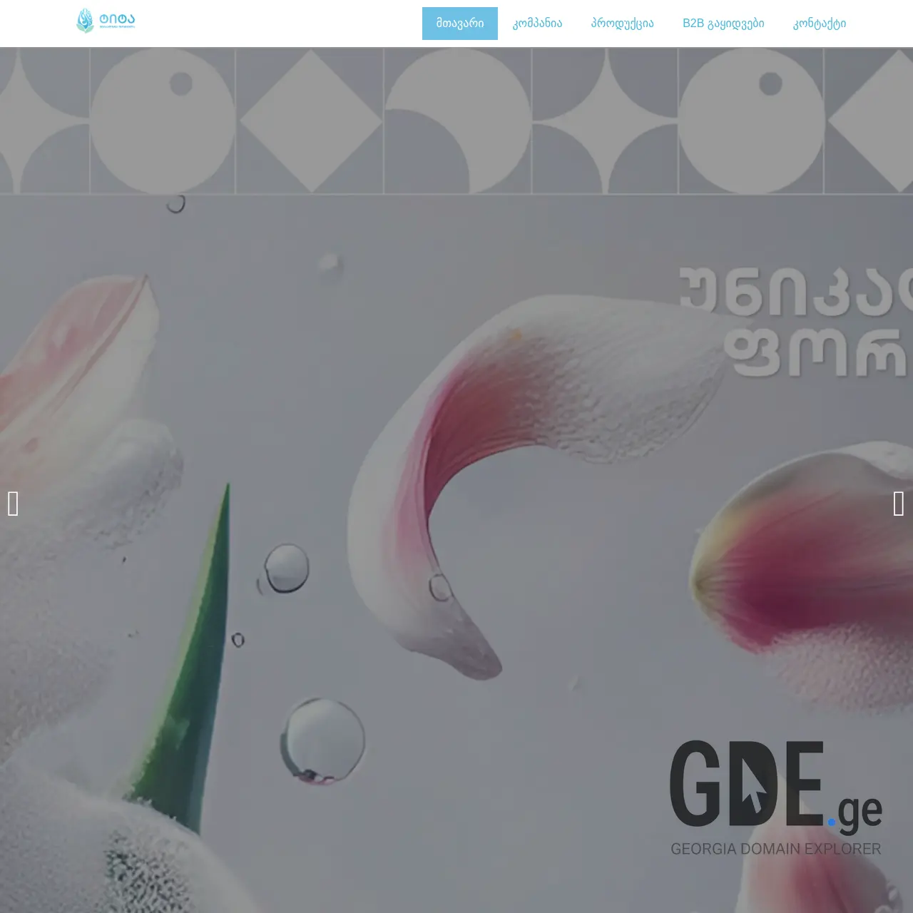 Screenshot of the site tita.ge at 2025-12-13