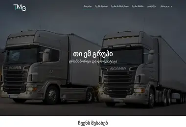 Screenshot of tmg.ge