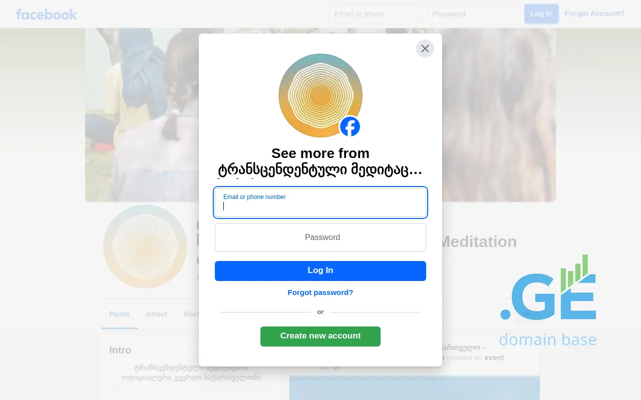 Screenshot of the site tmgeorgia.ge at 2025-09-18