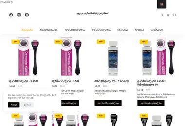 Screenshot of tmiszrda.ge