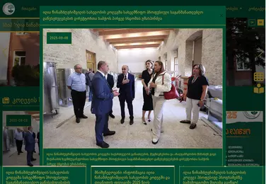 Screenshot of tmk.edu.ge