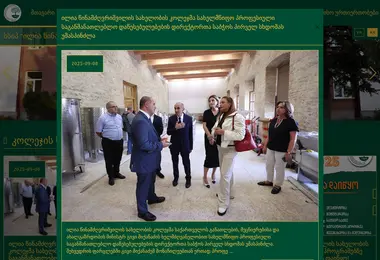 Скриншот tmk.edu.ge