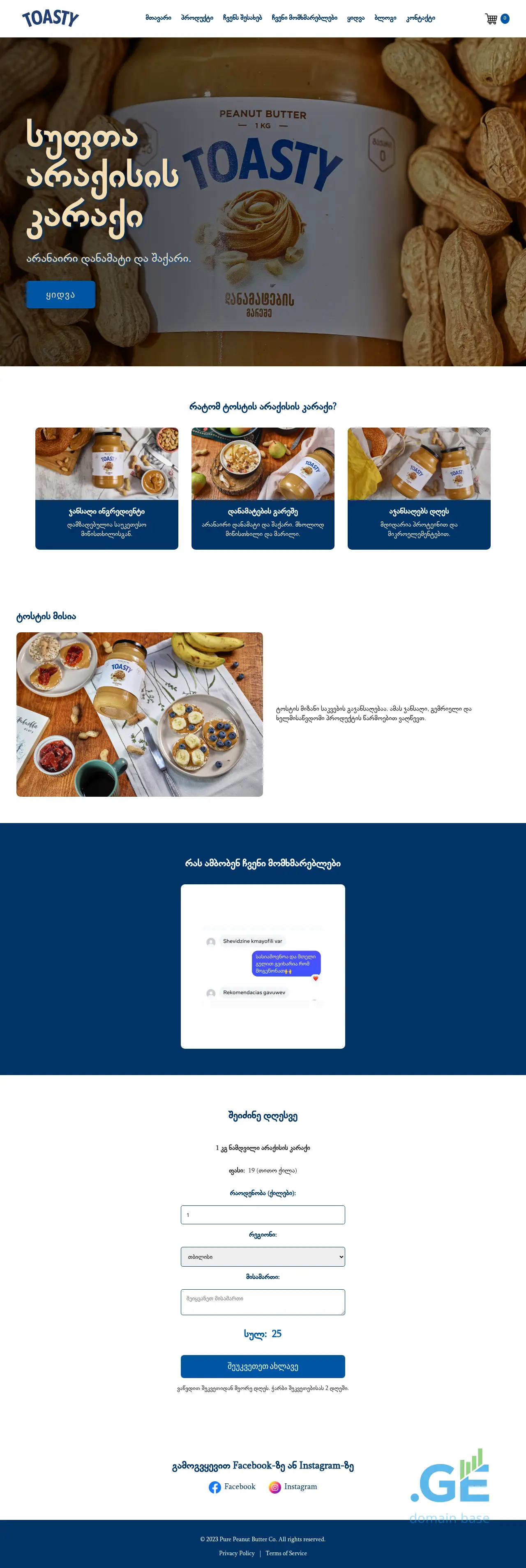 Screenshot of the site toasty.ge