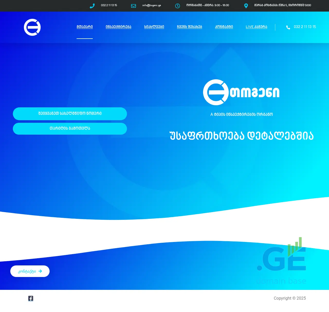 Screenshot of the site togeni.ge