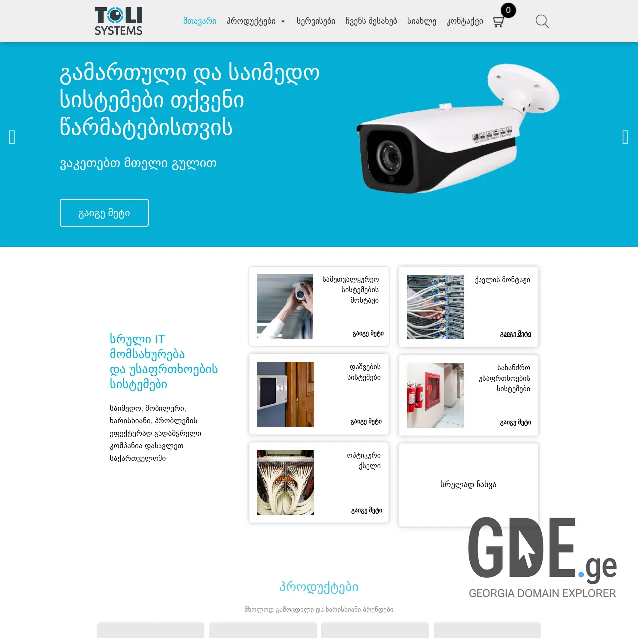 Screenshot of the site toli.ge at 2025-12-12