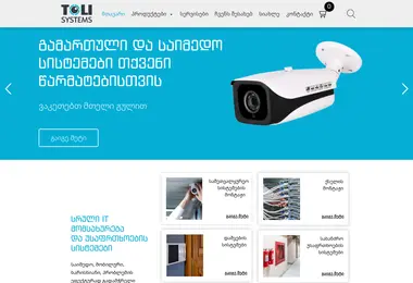 Screenshot of toli.ge