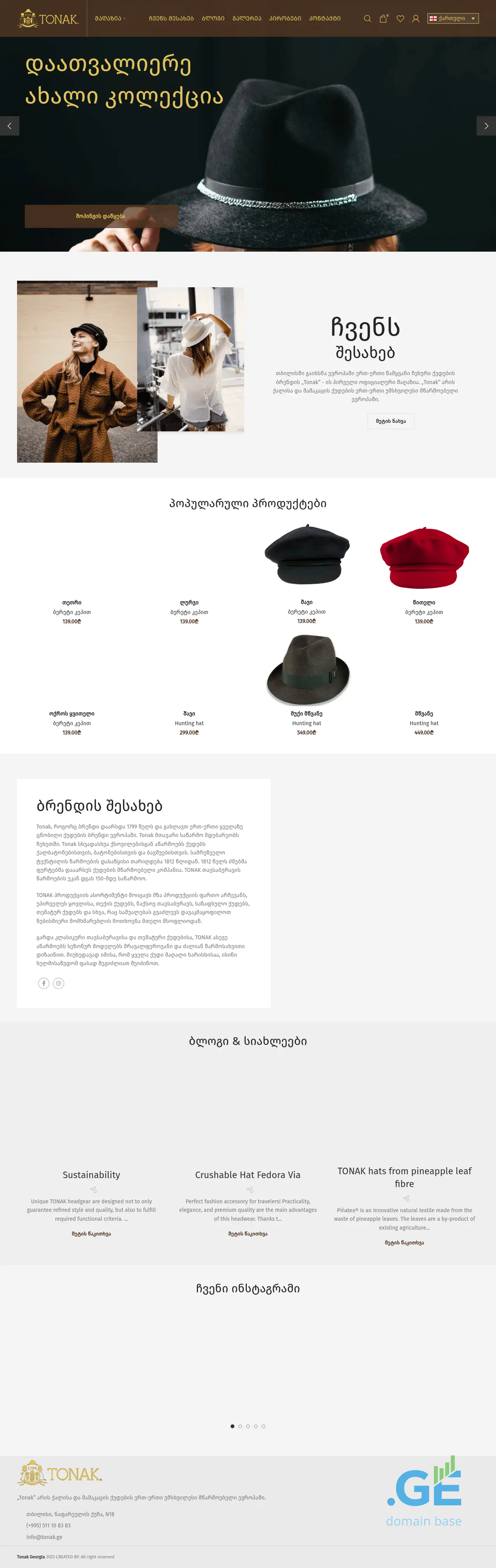 Screenshot of the site tonak.ge