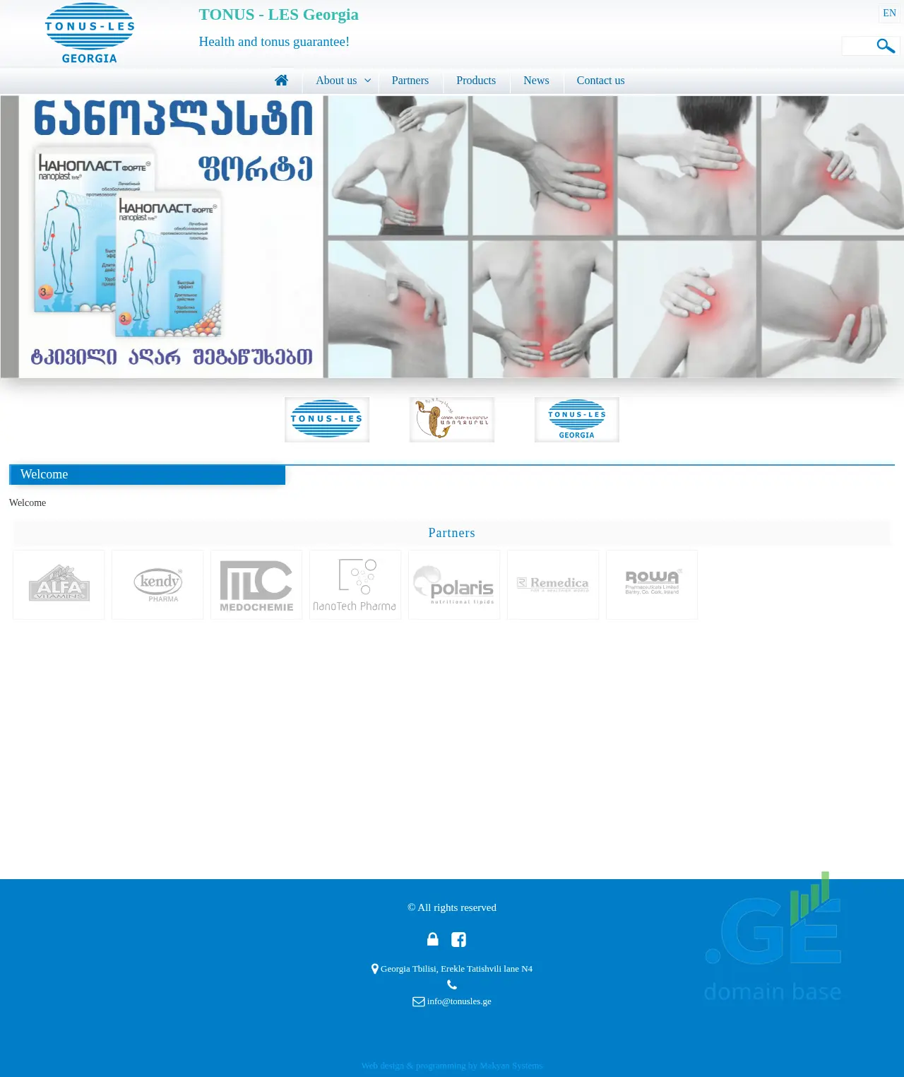 Screenshot of the site tonusles.ge