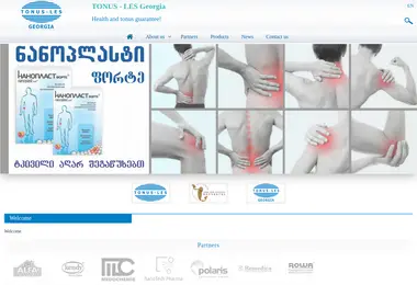 Screenshot of tonusles.ge