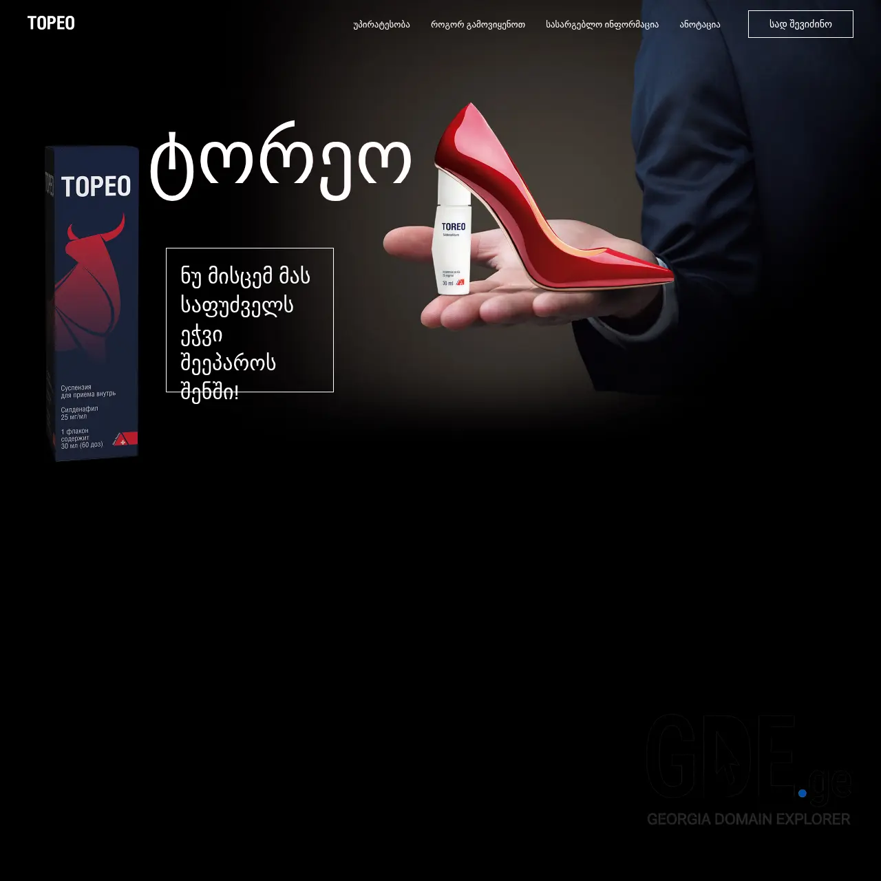 Screenshot of the site toreo.ge at 2025-12-13
