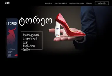 Screenshot of toreo.ge