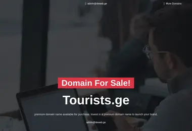 Screenshot of tourists.ge