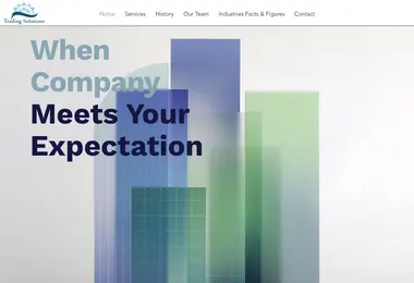 Screenshot of tradingsolutions.ge
