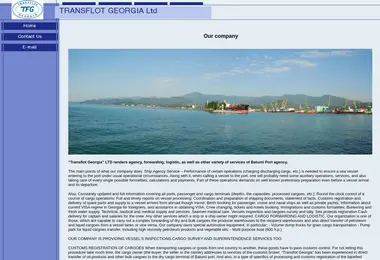 Скриншот transflot.ge