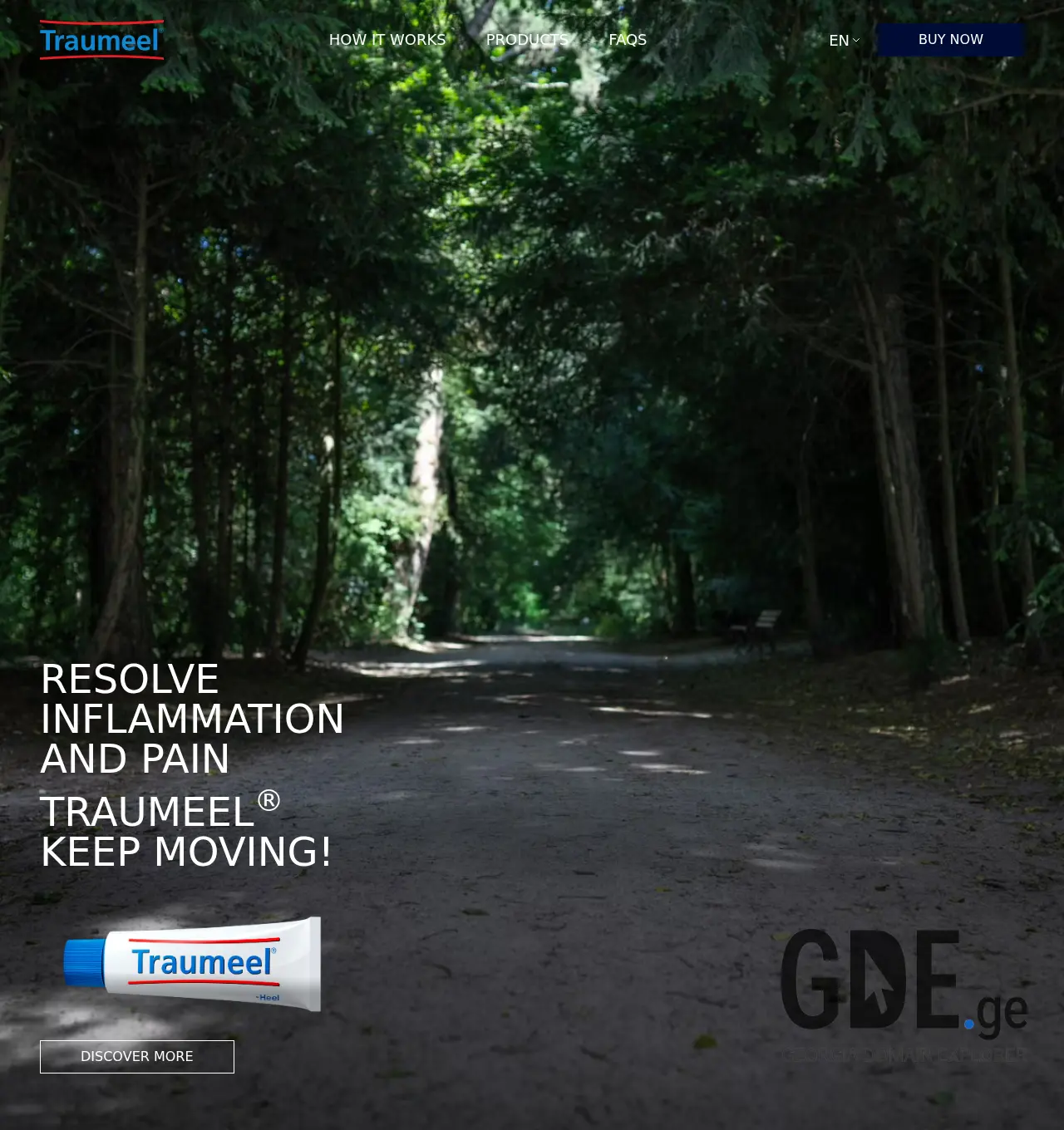 Screenshot of the site traumeel.ge at 2025-12-01